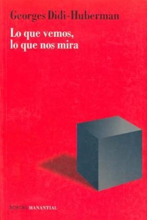 Lo que vemos, lo que nos mira