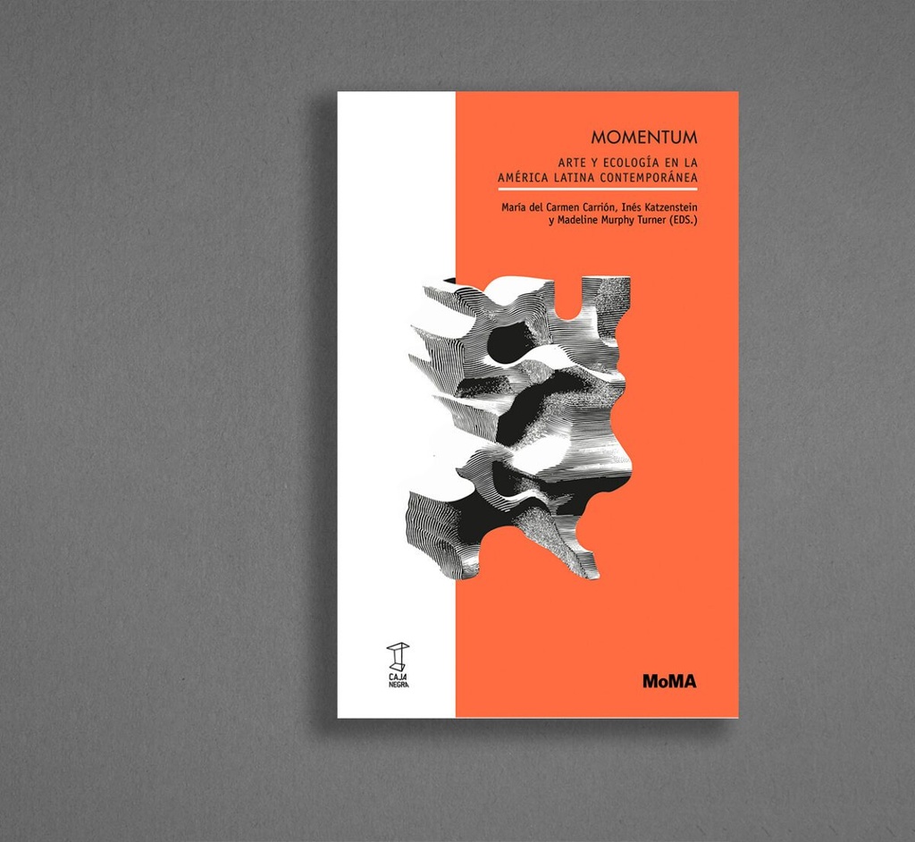 Momentum. Arte y ecología en la América Latina