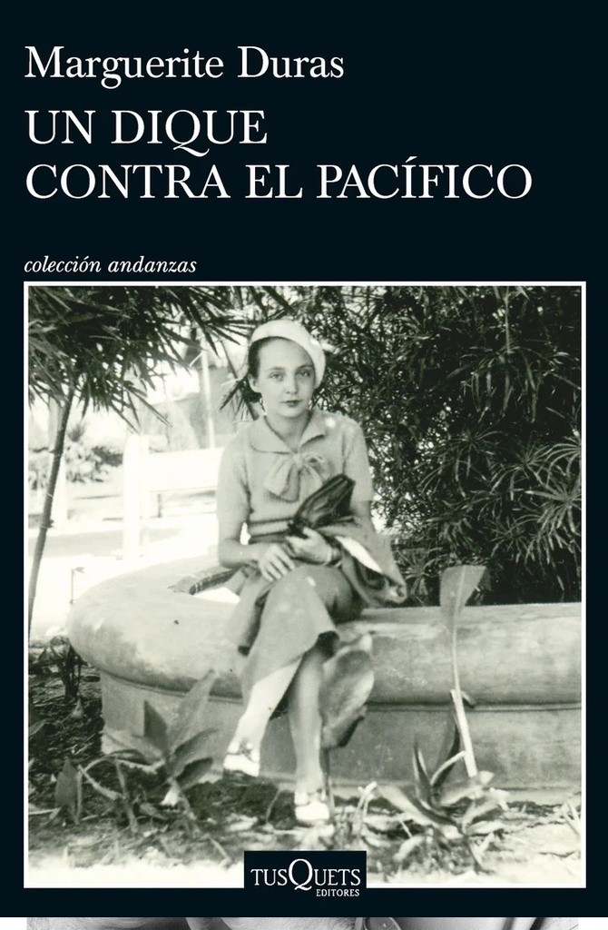 Un dique contra el Pacífico