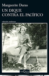 Un dique contra el Pacífico