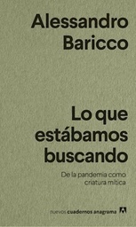 Lo Que Estábamos Buscando. 33 Fragmentos