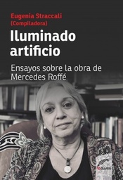 Iluminado artificio. Ensayos sobre la obra de Mercedes Roffé